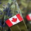 Image result for Canadian Army Special Forces