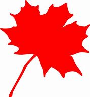 Image result for Maple Tree Copyright Free Image Vector