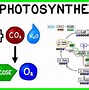 Image result for Light-Dependent Reaction