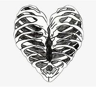 Image result for Skeleton Broken Heart Drawing Easy