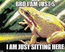 Image result for Deep Fried Frog Meme