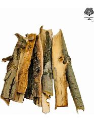 Image result for Salix Alba