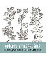 Image result for Leaf Brush Photoshop