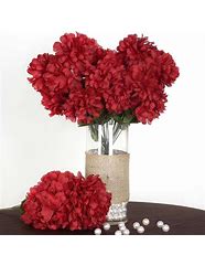 Image result for Burgundy Cremones Flowers