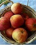 Image result for Une Pomme