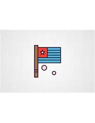 Image result for Flag Icon Vector