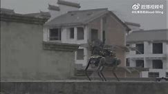 A Chinese defense contractor demonstrates a drone-flying, armed robodog. (Credit: Blood-Wing.)