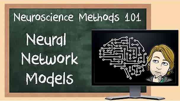 Neural Network Models Explained! | Neuroscience Methods 101