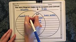 Venn Diagram Compare And Contrast