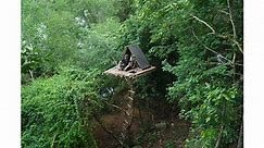 Bushcraft Building A Frame House On Tree