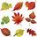 10 Leaves Clip Art