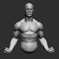 3D Model of Upper Body Anatomy