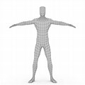 3D Anatomy Drawing Full Body