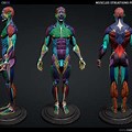 3D Body Anatomy Kinetical