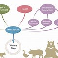 5 Animal Welfare Domains