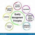 7 Quality Management Principles