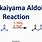 Mukaiyama Aldol Reaction