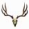 Mule Deer Skull Drawing