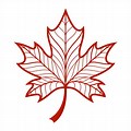 Maple Leaf Icon Vector