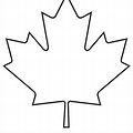 Maple Leaf Learning Coloring