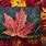 Maple Leaf Painting