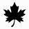 Maple Leaf Tree Vector