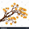 Maple Tree Branch Vector