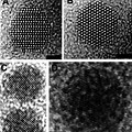 Materials Science Tem