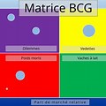 Matrice BCG En Francais