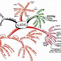 Mind Map Alat Pernapasan Manusia