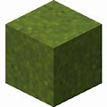 Minecraft Green Block Bush