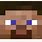 Minecraft Steve Face Sticker