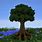 Minecraft Tall Tree