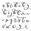 Modern Calligraphy Alphabet Fonts