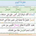 Modern Standard Arabic Word Order