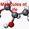 Molecules of Life