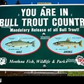 Montana Bull Trout Country Sign