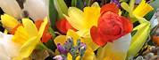 Most Beautiful Spring Flower Arrangements