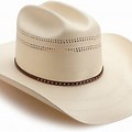 Most Popular Straw Cowboy Hats