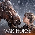 Movie War Horse Based On True Story