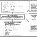 Nursing Concept Map Priorities Examples