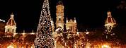 Natural Christmas Tree in Alicante Spain