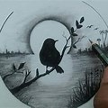 Nature Drawing Pencil Shading