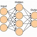 Neural Network