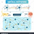 Neuron Structure in Neural Network