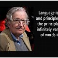 Noam Chomsky Quotes On Language Acquisition