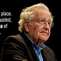 Noam Chomsky Quotes and Sayings About Love