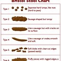 Normal Bowel Movement Patterns