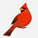 Northern Cardinal Clip Art