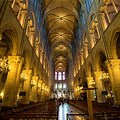 Notre Dame Cathedral Interior Restoration